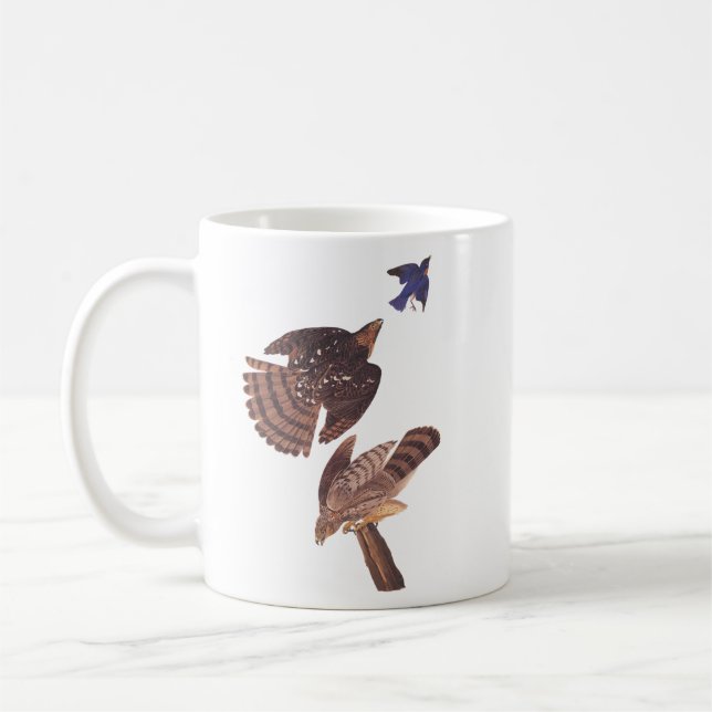 Mug Audubon's Cooper's Hawk Bird of Prey (Gauche)