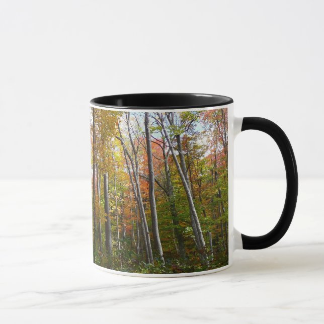 Mug Automne Forêt I Automne Paysage Photographie (Droite)