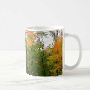 Mug Automne Maple Trees Automne Photographie de la nat