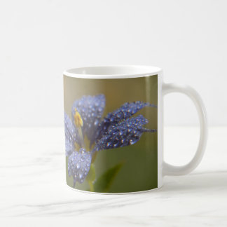 Mug Aux yeux bleus délavés