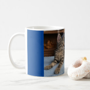 Mug avec chaton mignon