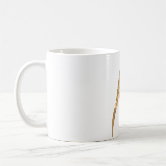 Mug B est pour le dragon barbu (Gauche)
