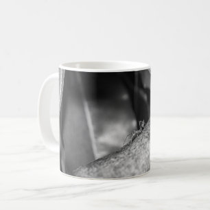 Mug B&W - Ant tisserand sur un bois