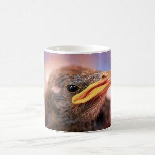 Mug Baby Bird
