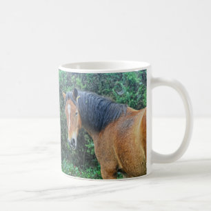 Mug Baie New Forest Pony of Hampshire, Angleterre