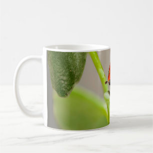 Mug Baiser Ladybugs