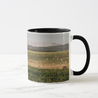 Mug Balles de foin dans un domaine avec des montagnes