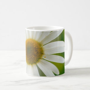 Mug Basière oculaire blanche - Leucanthemum vulgare