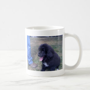 Mug Beau chiot de Newfie (race de chien de