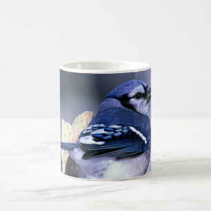 Mug Beau geai bleu