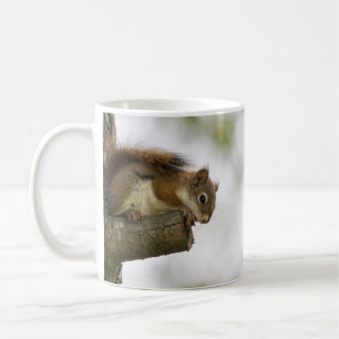Mug Bébé écureuil rouge