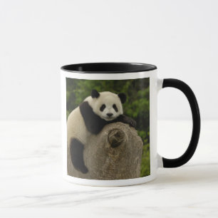 Mug Bébé panda géant