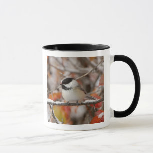 Mug Bécasseau noir adulte en neige