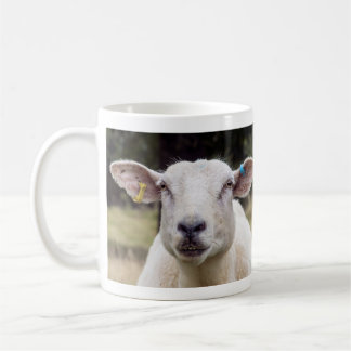 Mug Bêê . .