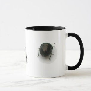 Mug Beetles