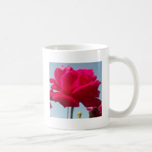 Mug Belle belle Rose céleste rouge contre bleu