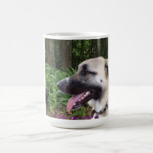 Mug Berger anatolien