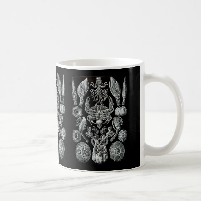 Mug Bernaches (Droite)