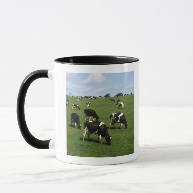 Mug Bétail de frison du Holstein, Irlande (Gauche)