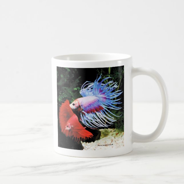 Mug Betta (Droite)