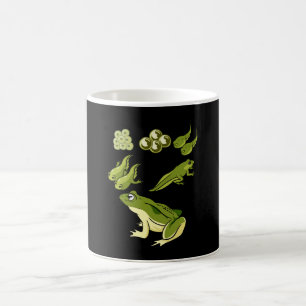 Mug Biologie - Cycle de vie de la grenouille
