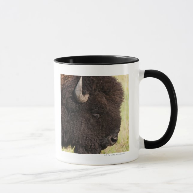 Mug Bison américain, le Dakota du Sud (Droite)
