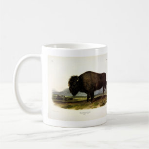 Mug Bison américain, ou bison (bison) - Audubon