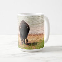 Bison au bord de l'eau