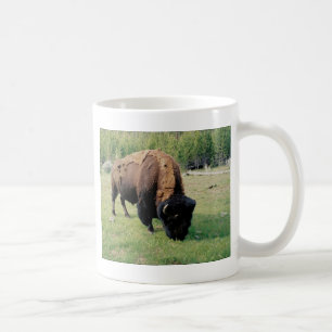 Mug Bison dans Yellowstone