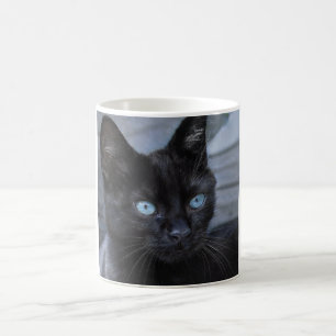 Mug Black chat bleu yeux beauté