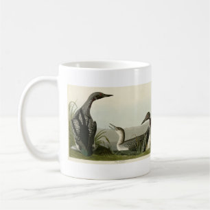 Mug Black Throated Diver Loon Audubon Birds of America