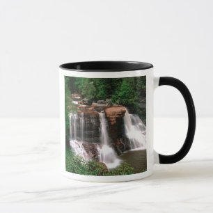 Mug Blackwater Falls, Virginie-Occidentale, pittoresqu