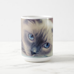 Mug Bleu Eyed Ragdoll Chat