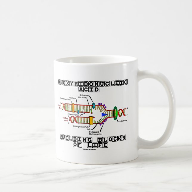 Mug Blocs constitutifs d'acide désoxyribonucléique de (Droite)