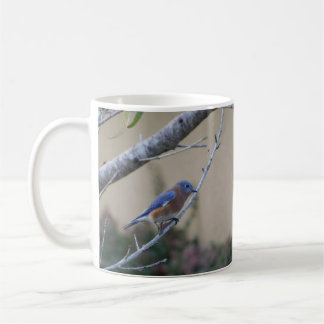 Mug Bluebird sur Branche Amateurs de Bluebird Est