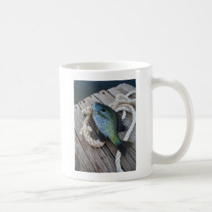 Mug bluegill sur quai