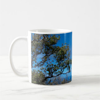 Mug Boisson Hawaï