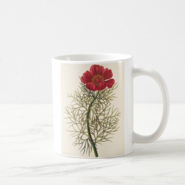 Mug Bon Paeony Leaved (Droite)