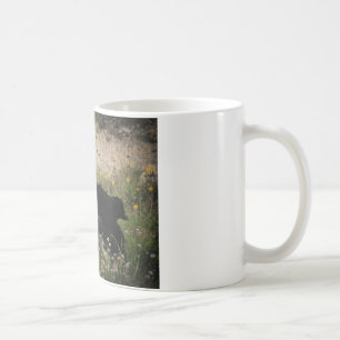 Mug Bordure Collie Australian Shepherd Mix