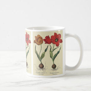 Mug Botanique Vintage, Fleurs de Tulipes en Fleur et B