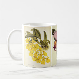 Mug Botanique vintage, Fleurs Tropicales D'Orchidées