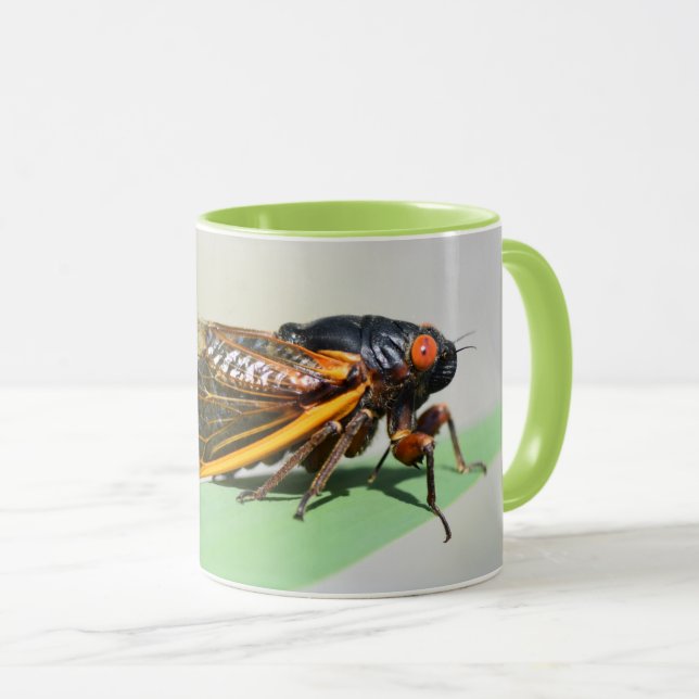 Mug Boug cicada périodique - dégustez du café avec Bro (Devant droit)