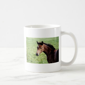 Mug Bouge de poulain arabe