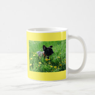 Mug Bouledogue français sur pelouse Bouledogue françai