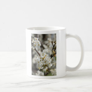 Mug Bradford Select Focus