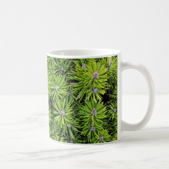 Mug branches à feuillage persistant (Droite)