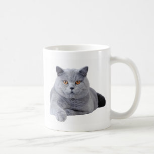 Mug British shorthair