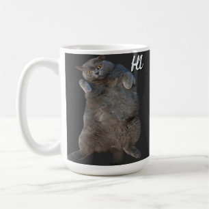 Mug British Shorthair Cat Kitty sur le dos Carte d'exc
