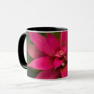 Mug Bromeliade en fleur