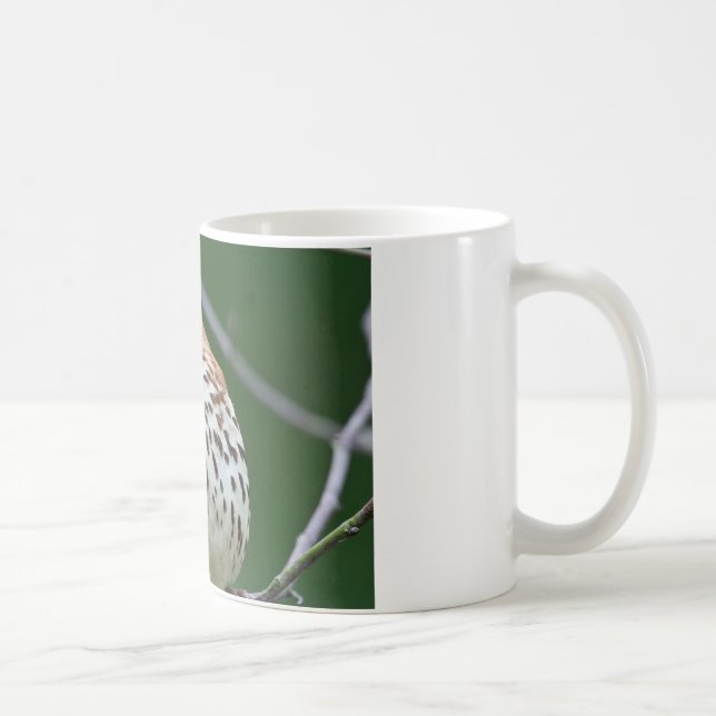 Mug Brown Thrasher avec / Catch Of The Day Cadeaux Vêt (Droite)